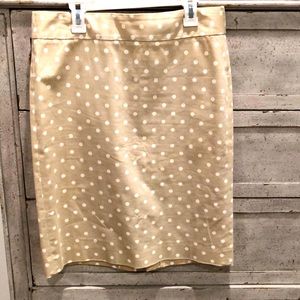Pencil Skirt